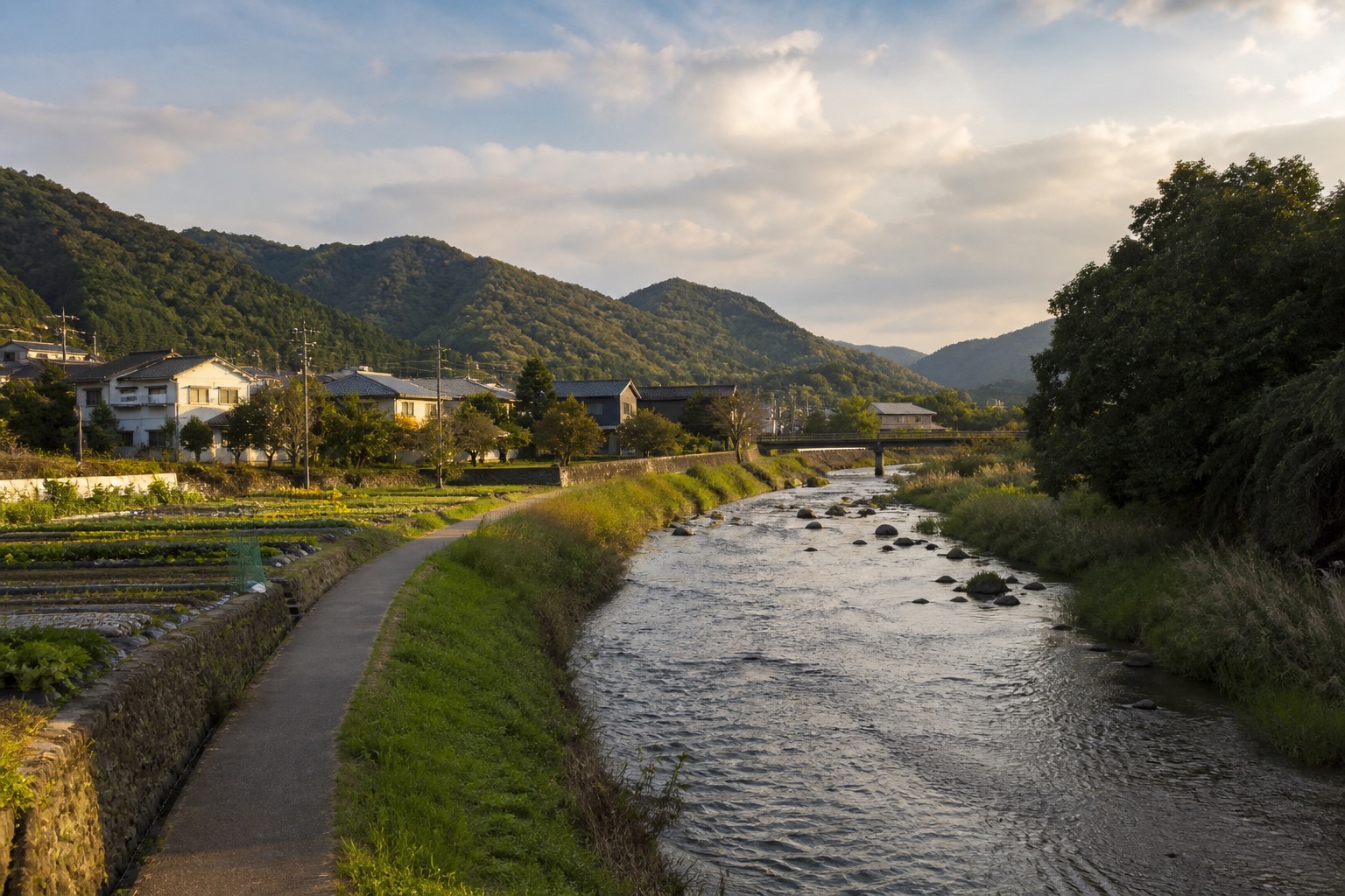 川と農地と住宅が共存する地域の風景